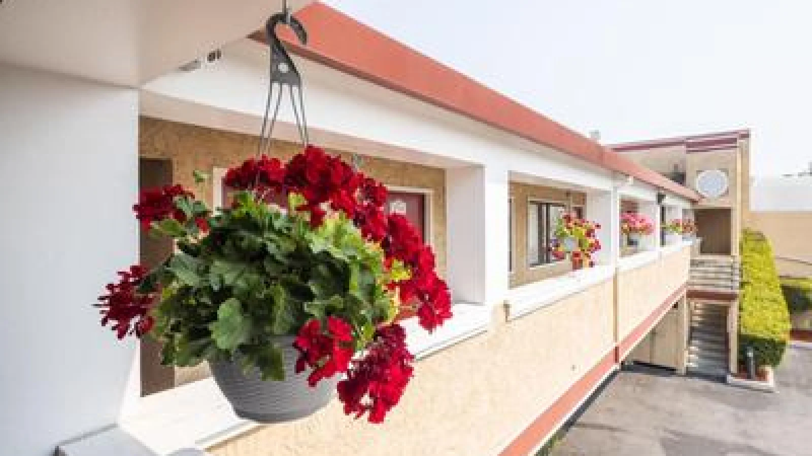 Americana Inn Motel