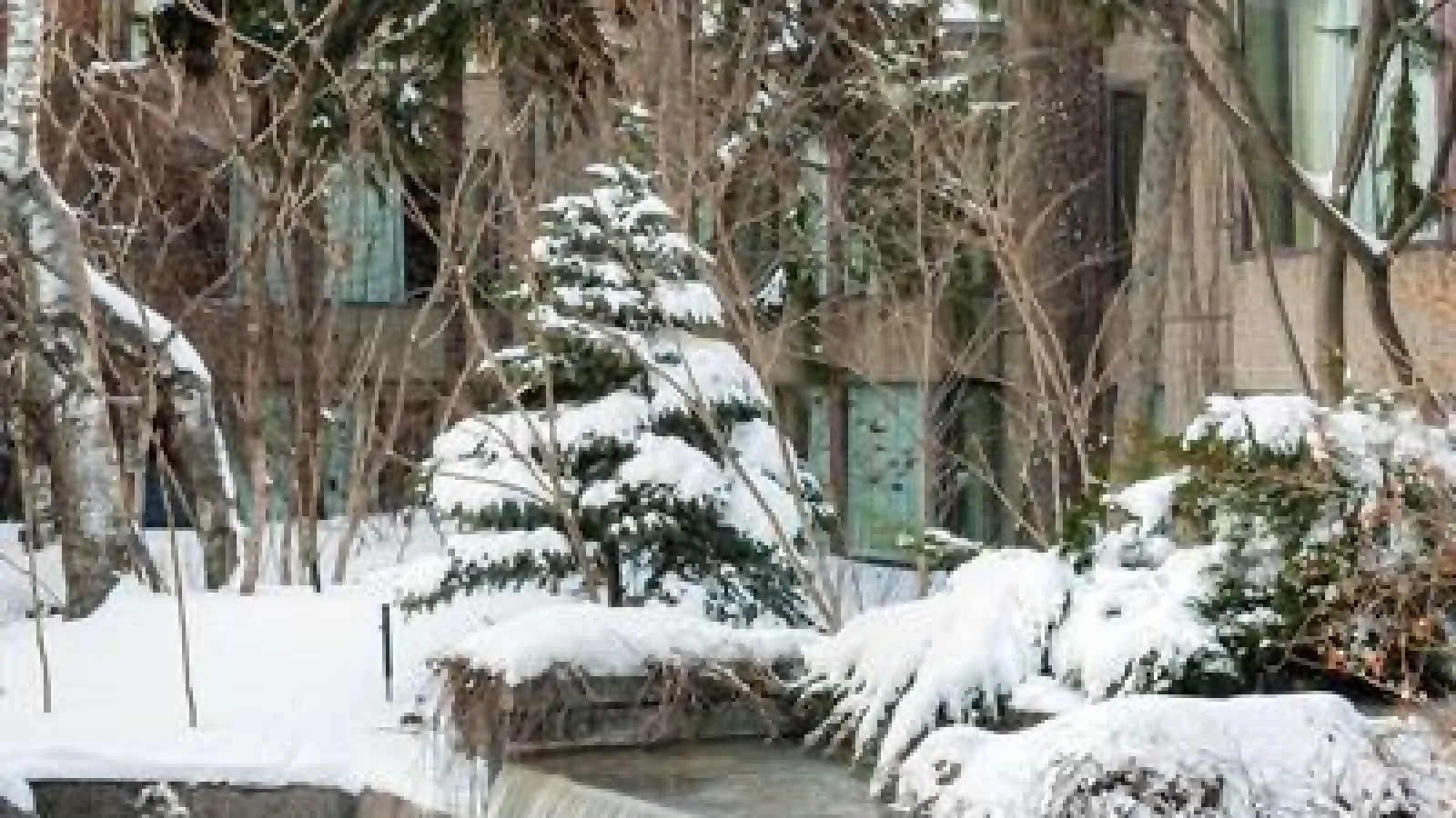 Hotel Bonaventure Montreal