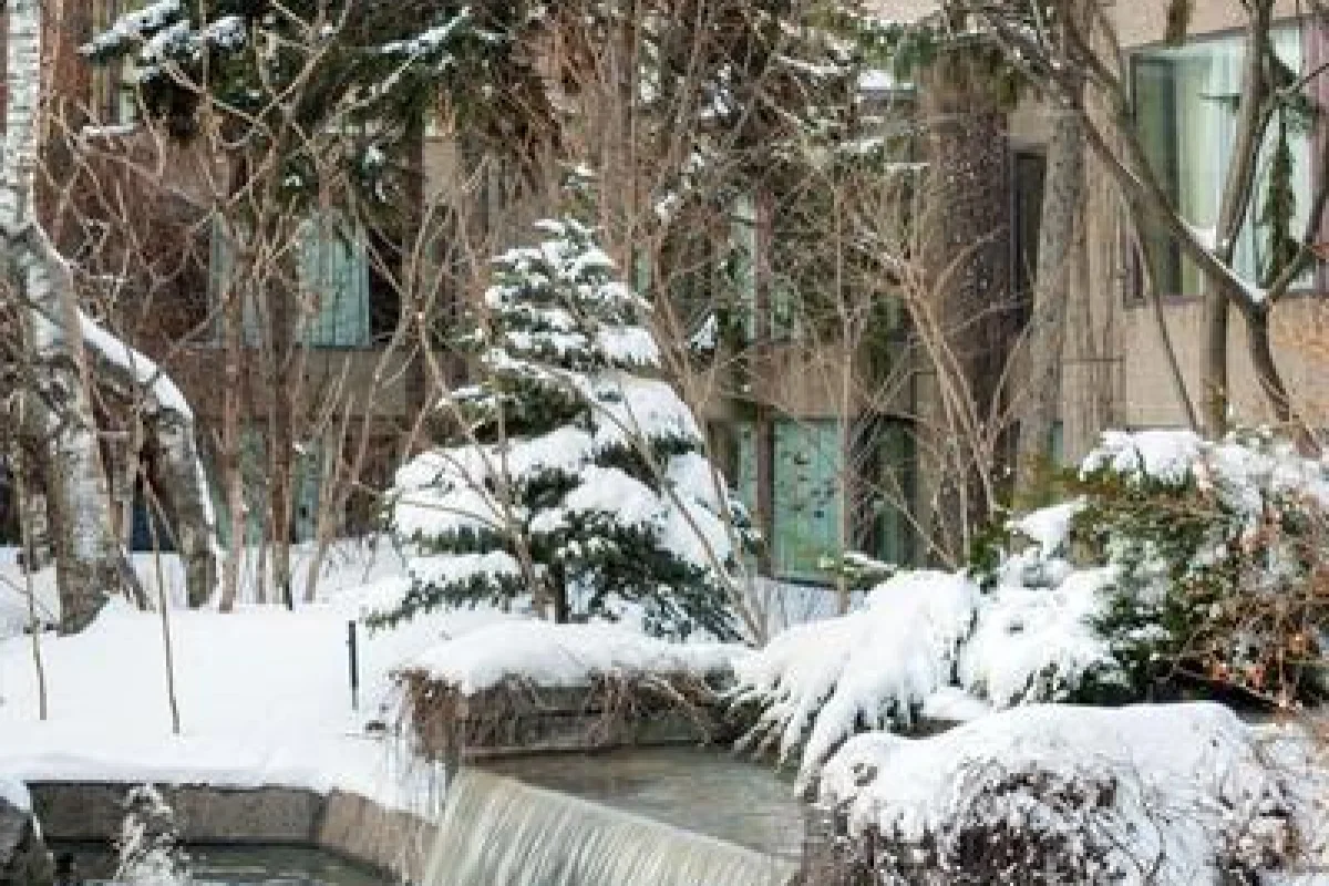 Hotel Bonaventure Montreal