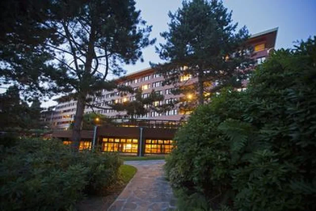 Disney Sequoia Lodge