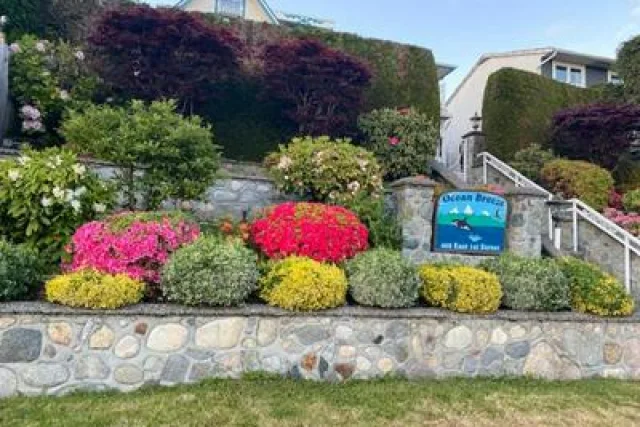 Ocean Breeze Executive Bed and Breakfast
