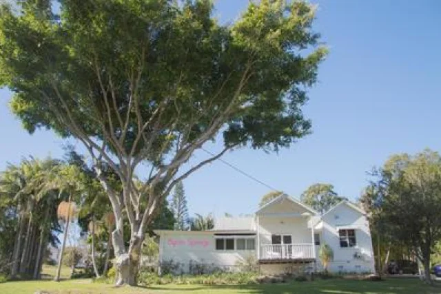 Byron Springs